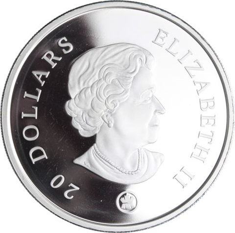 Kanada-20 Dollar-2008-AGpp-Sapphire Crystal Snowflake-RS