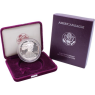 USA-1 Dollar-1991-AGpp-Silver Eagle-Etui