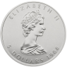 Kanada-5-Dollar-1988-1-Unze-Silber-Maple-Leaf-VS