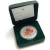 Kanada-5Dollars-1ozAg-2001-MapleLeaf-in-Farbe-Etui