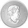 ka5060jahreelis