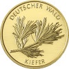Deutschland 20 Euro 2013 Kiefer  G