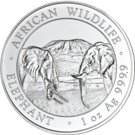 Somalia-100-Shillings-2020-Elefant-I