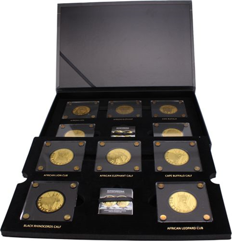 Tschad-10x5000 Francs-AU-Big Five-Etui