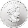 Münzen Kanada 2015 Maple Leaf Ahornblatt 5 Dollar