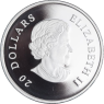 Kanada-20 Dollar-2010-AGpp-Blue Crystal Snowflake-VS