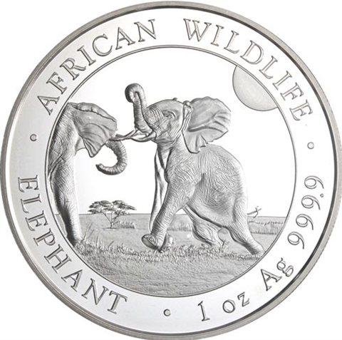 Somalia-100Schilling-2024-Elefant-RS
