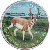 Kanada-5 Dollar-2013-Gabelhornantilope-AGstgl-Farbe-RS