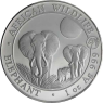 Somalia-100Schilling-2014-AG-Elefant-Privy-rs