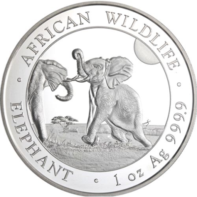 Somalia-100Schilling-2024-Elefant-RS