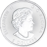 Kanada-5 Dollar-2017-AGstgl-Kanu Voyageur Blau-FD-Farbe-VS