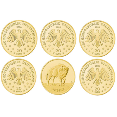 Deutschland-20-Euro-2026-Gold-Wisent-Komplettsatz-RSVS