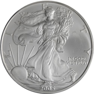 USA-1 Dollar-2005-AGstgl-Silver Eagle-RS