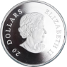 Kanada-20 Dollar-2009-AGpp-Blue Crystel Snowflake-VS