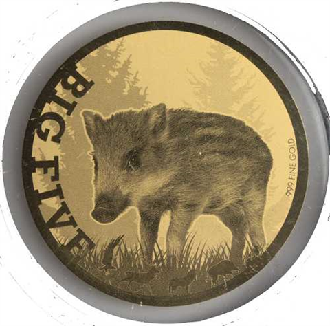 Tschad-10x1-200oz-AUstgl-o.J.-BigFive