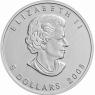 Kanada-5-Dollar-2005-1-Unze-Silber-Maple-Leaf-VS
