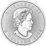 Canada-5-Dollar-2019-Maple-Leaf-II