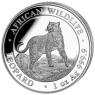 Somalia-100Shilling-2022-AGstgl-Leopard-RS-Entwurf