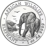 Somalia-100Schillings-2010-AGstgl-Elefanten-RS