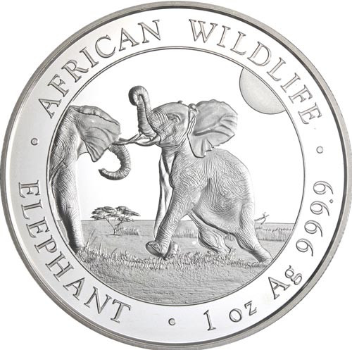 Somalia-100Schilling-2024-Elefant-RS