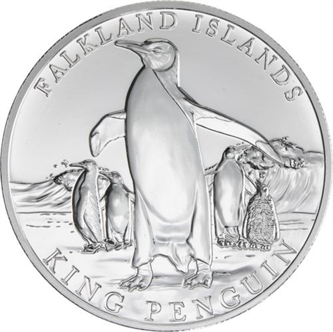 Falklandinseln-5 Pfund-2025-AGstgl-Königspinguin-RS_ergebnis