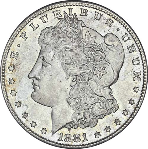 USA-1-Morgan-Dollar-1881-I