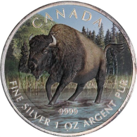Kanada-5 Dollar-2013-Bison-AGstgl-Farbe-RS