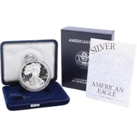 USA-1 Dollar-1996-AGpp-Silver Eagle-Etui