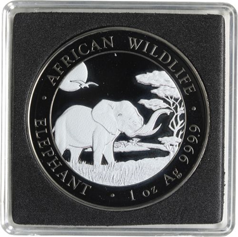Somalia-2x100Schilling-2019-AG-Elefant-Farbe-BlackRuth-Etui II