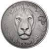 3 Unzen Silber 2013 Löwe - Afrika Antique Finish Silver Ounces