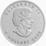 Kanada-5-Dollar-2006-1-Unze-Silber-Maple-Leaf-VS