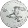 Kanada 5 Dollars 2014 bfr. Birds of Prey Bald Eagle