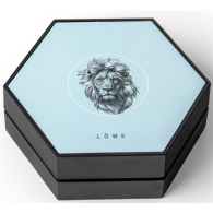 MünzeÖsterreich-Einzeletui-Sternbild-Löwe-geschlossen