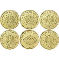 Deutschland-5-x-20-Euro-2011-Buche