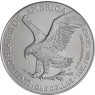 USA-1-Dollar-2025-AGstgl-Amerikan-Silver-Eagle-VS