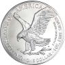 USA-1Dollar-2024-AgStgl-American-Eagle-VS