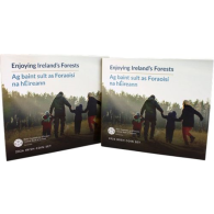 Irland-3,88 Euro-2026-Stgl-Kursmünzensatz-Folder