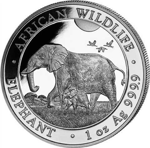 Silber-Unze-Somalia-100-Shilling-2022-Elefant-I