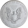 USA-1 Dollar-2013-AGstgl-Silver Eagle-Jahreszeit-Winter-Farbe-VS