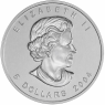 Kanada-5-Dollar-2004-1-Unze-Silber-Maple-Leaf-VS