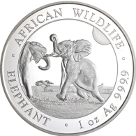 Somalia-100Schilling-2024-Elefant-RS