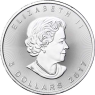 Kanada-5-Dollars-2017-Maple-Leaf-1-Unze-Silber-VS