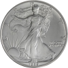 USA-1 Dollar-1989-AGstgl-Silver Eagle-RS