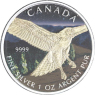 Kanada-5 Dollar-2015-AGstgl-Rotschwanzadler-FD-Farbe-RS