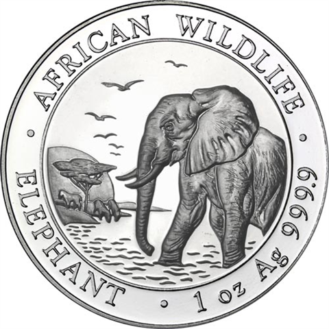 Somalia-100Schillings-2010-AGstgl-Elefanten-RS