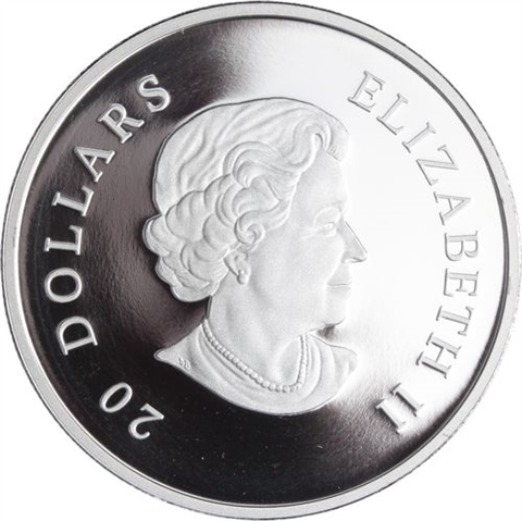Kanada-20 Dollar-2010-AGpp-Tanzanite Crystel Snowflake-RS