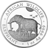 Silber-Unze-Somalia-100-Shilling-2022-Elefant-I