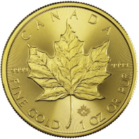 Kanada-50Dollar-2022-AUstgl-MapleLeaf-Bildseite
