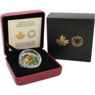 Kanada-20Dollar-2015-AGpp-Turtle-Etui-RS