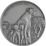 Leoparden Familie-RS